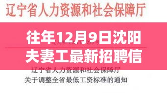 沈陽夫妻工最新招聘信息獲取攻略，高效尋找工作機會的指南