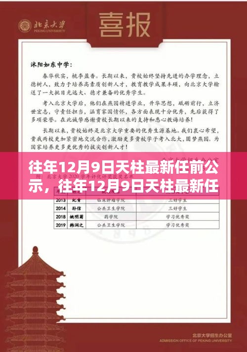 天柱最新任前公示詳解，流程步步為贏，助力輕松完成公示任務(wù)