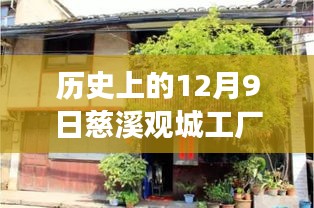 慈溪觀城工廠招聘盛況，舊日崗位與自然美景的探索之旅