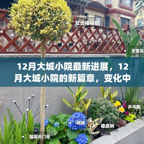 12月大城小院新進(jìn)展，變化中的學(xué)習(xí)，自信與成就感的綻放