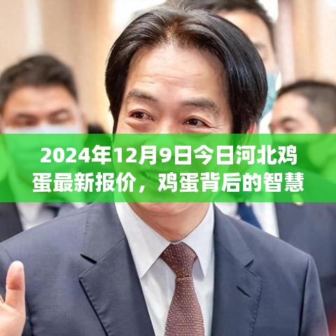 河北雞蛋最新報價背后的智慧，學習變化，自信成就未來（2024年12月9日）