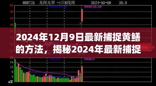 揭秘高效生態(tài)捕捉黃鱔新方法，2024年最新捕捉技巧分享。