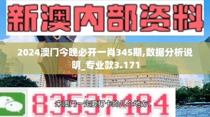 2024澳門今晚必開一肖345期,數(shù)據分析說明_專業(yè)款3.171