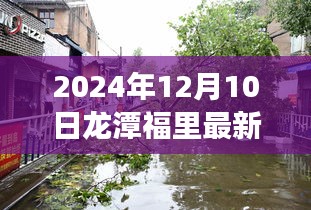 揭秘龍?zhí)陡＠铼毺仫L(fēng)情與最新房價探索之旅（2024年12月10日最新房價更新）