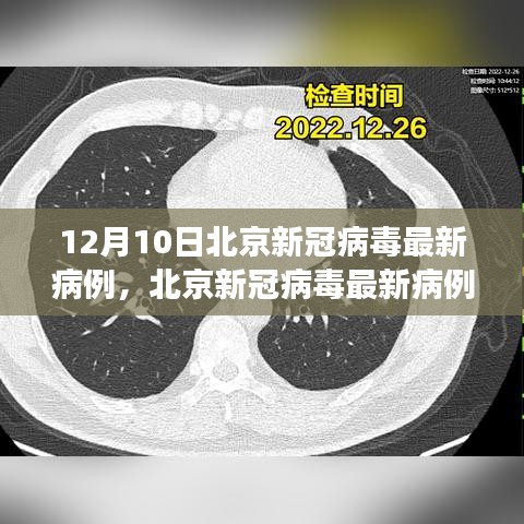 北京新冠病毒最新病例分析報(bào)告，深度解讀（截至12月10日）