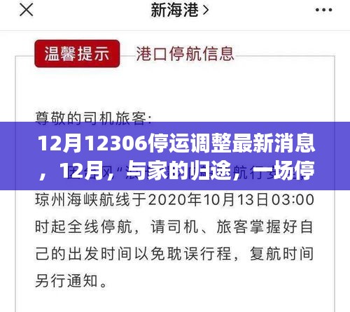 12月停運調(diào)整心系歸途，12306最新消息與溫情之旅向家出發(fā)