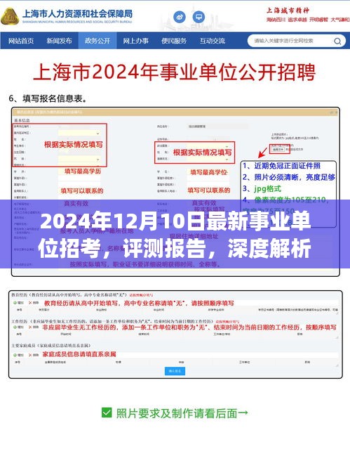 深度解析，最新事業(yè)單位招考測(cè)評(píng)報(bào)告（2024年12月版）