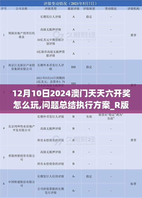 12月10日2024澳門天天六開獎(jiǎng)怎么玩,問(wèn)題總結(jié)執(zhí)行方案_R版9.896