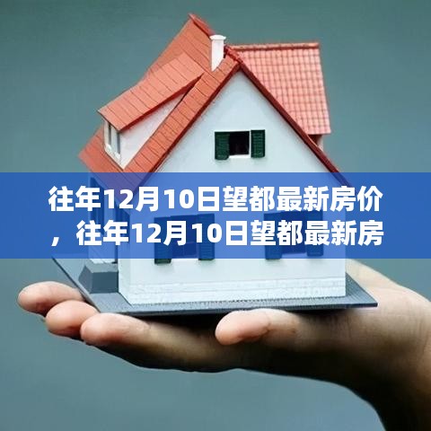 往年12月10日望都房價(jià)最新動(dòng)態(tài)，概覽及分析