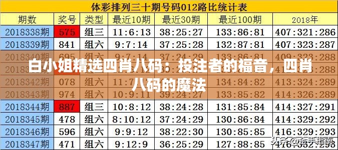 白小姐精選四肖八碼：投注者的福音，四肖八碼的魔法