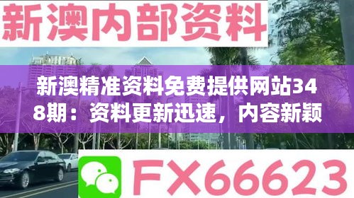 新澳精準資料免費提供網站348期：資料更新迅速，內容新穎