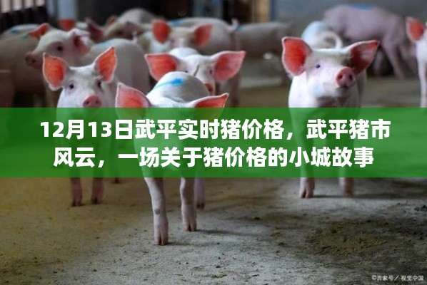 武平豬市風(fēng)云，小城故事中的實(shí)時(shí)豬價(jià)格揭秘