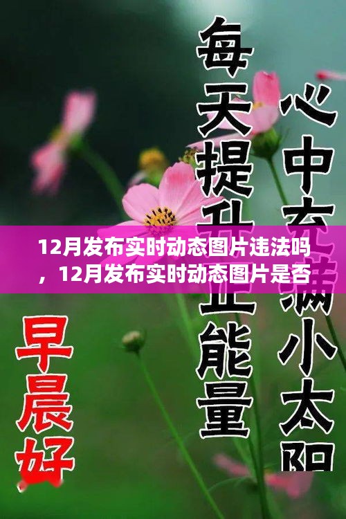 解讀，實(shí)時(shí)動(dòng)態(tài)圖片發(fā)布是否違法？關(guān)于12月發(fā)布實(shí)時(shí)動(dòng)態(tài)圖片的法規(guī)與案例分析