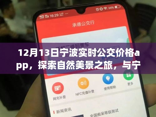 寧波實(shí)時(shí)公交價(jià)格app，探索自然美景與內(nèi)心寧靜之旅