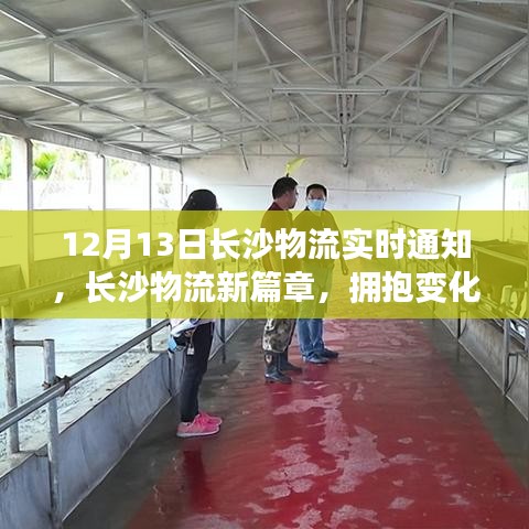 長沙物流新篇章，擁抱變化，共舞奇跡
