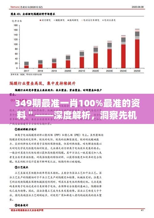 349期最準(zhǔn)一肖100%最準(zhǔn)的資料＂——深度解析，洞察先機(jī)