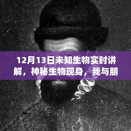 未知生物揭秘，神秘現(xiàn)身與溫馨探險(xiǎn)之旅