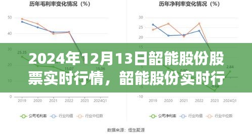 韶能股份實(shí)時行情解析，深度洞察股市動態(tài)，洞悉未來趨勢