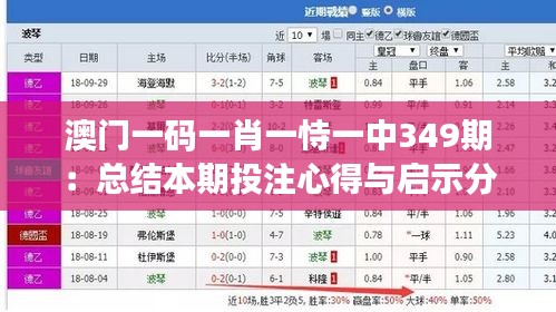 澳門(mén)一碼一肖一恃一中349期：總結(jié)本期投注心得與啟示分享
