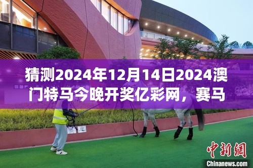 猜測(cè)2024年12月14日2024澳門特馬今晚開獎(jiǎng)億彩網(wǎng)，賽馬概率游戲的冒險(xiǎn)之旅