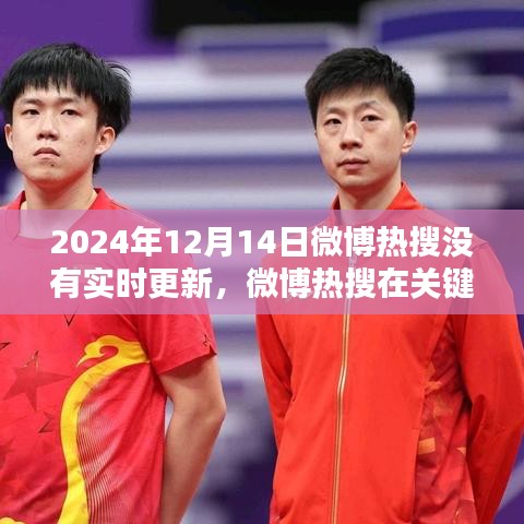 2024年12月14日微博熱搜缺失實(shí)時(shí)更新，深入評(píng)測(cè)分析