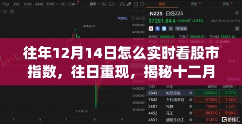 揭秘十二月十四日股市指數(shù)的實時觀察之旅，歷史數(shù)據(jù)與當日重現(xiàn)分析