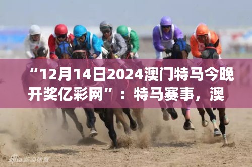 “12月14日2024澳門特馬今晚開(kāi)獎(jiǎng)億彩網(wǎng)”：特馬賽事，澳門的驕傲