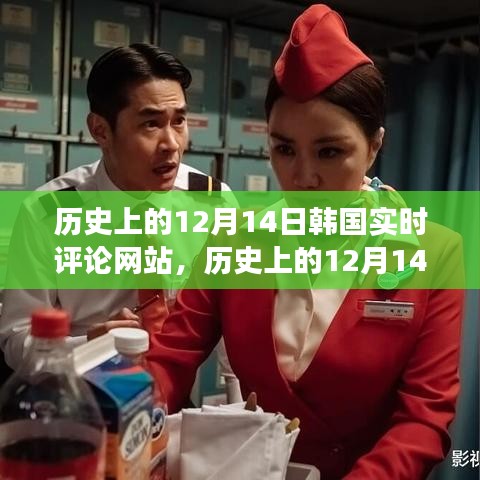 韓國實時評論網(wǎng)站的演變與影響，歷史上的12月14日回顧