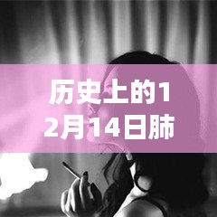 歷史上的十二月十四日，肺炎動態(tài)壁紙與動漫壁紙店的探秘之旅