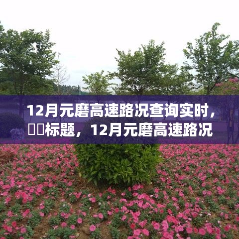 12月元磨高速路況實時更新，與自然美景共舞的心靈寧靜之旅。