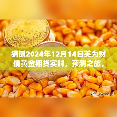 解讀英為財(cái)情黃金期貨市場(chǎng)展望，預(yù)測(cè)黃金期貨未來(lái)走勢(shì)，探尋黃金市場(chǎng)趨勢(shì)——聚焦2024年12月14日實(shí)時(shí)動(dòng)態(tài)分析之旅