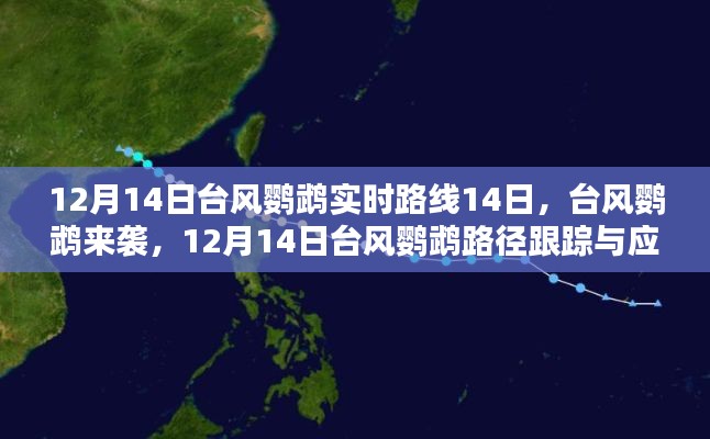 臺(tái)風(fēng)鸚鵡來襲，應(yīng)對(duì)指南與實(shí)時(shí)路徑跟蹤（初學(xué)者與進(jìn)階用戶版）