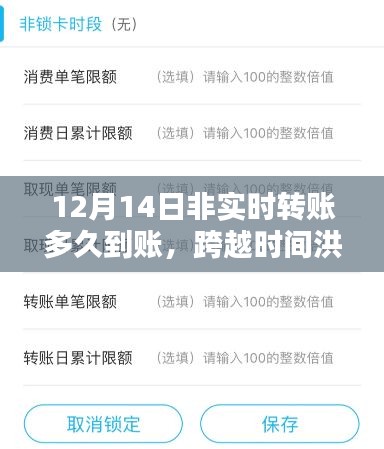 非實時轉(zhuǎn)賬的智慧，到賬時間解析與成就感的誕生