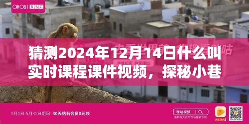 探秘實時課程課件視頻，小巷深處的寶藏與特色小店的奇妙邂逅，2024年12月14日的探索之旅