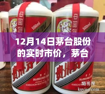 茅臺股份實時市價與心靈平和之旅，與自然美景的邂逅