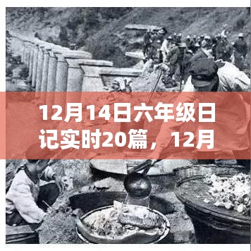 12月14日六年級(jí)生活紀(jì)實(shí)，精彩瞬間回顧與日記實(shí)錄