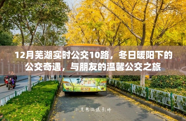 冬日暖陽下的溫馨公交之旅，蕪湖實時公交10路之旅