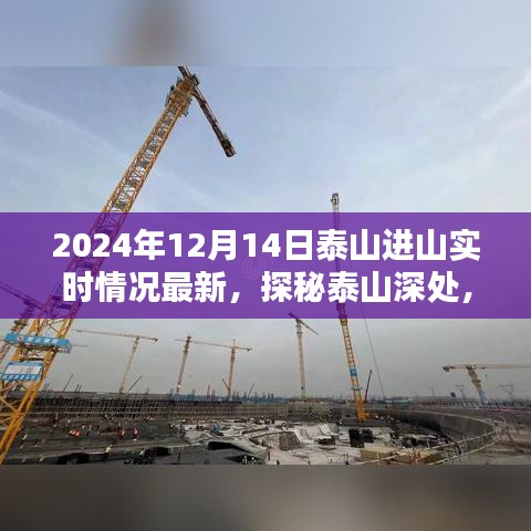 探秘泰山深處，小巷特色小店與最新進山實時情況揭秘