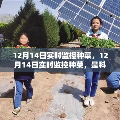 科技賦能還是過度干預(yù)？種菜實時監(jiān)控引發(fā)爭議。