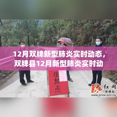 雙牌縣十二月新型肺炎實時動態(tài)概覽，背景、進展與影響分析