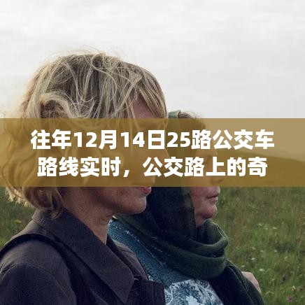 十二月十五日公交之旅，路上的奇遇與溫情紐帶紀(jì)實