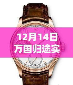 12月14日萬國歸途實時票房深度解析，表現(xiàn)、特性、體驗、競品對比及用戶群體全面剖析