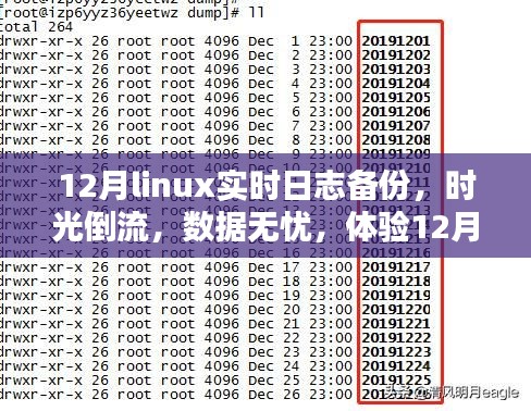 體驗Linux實時日志備份前沿科技魅力，時光倒流無憂數(shù)據(jù)保障在十二月
