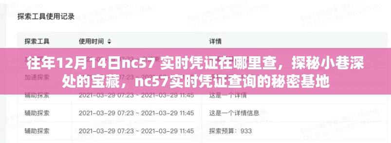 探秘往年12月14日nc57實(shí)時(shí)憑證查詢的秘密基地，小巷深處的寶藏大揭秘