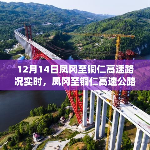 目標用戶群體分析