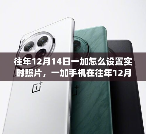 一加手機(jī)往年12月14日實時照片設(shè)置功能深度解析與評測