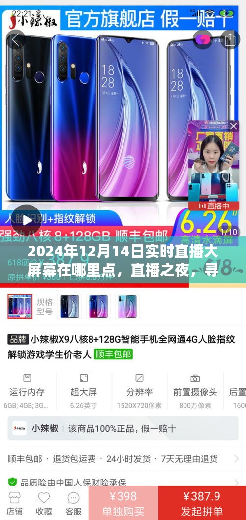 直播之夜，尋找特別的實時陪伴，2024年12月14日直播大屏幕地點揭曉