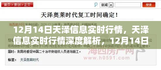 天澤信息實時行情解析，深度剖析與特殊篇章（12月14日）