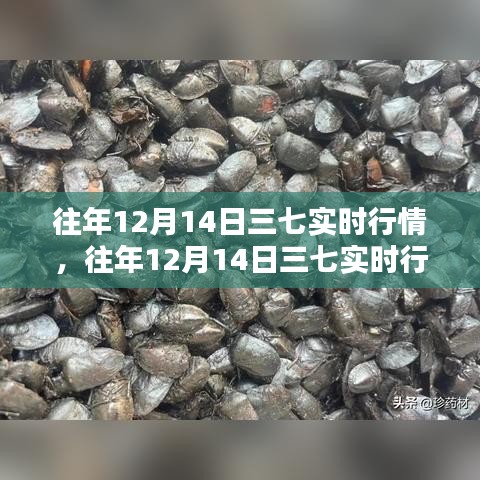 工程案例 第490頁(yè)