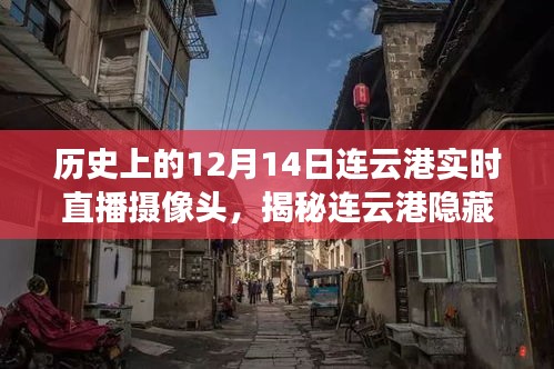 揭秘美食秘境，連云港隱藏小巷的實(shí)時(shí)直播探索之旅（附日期，12月14日）